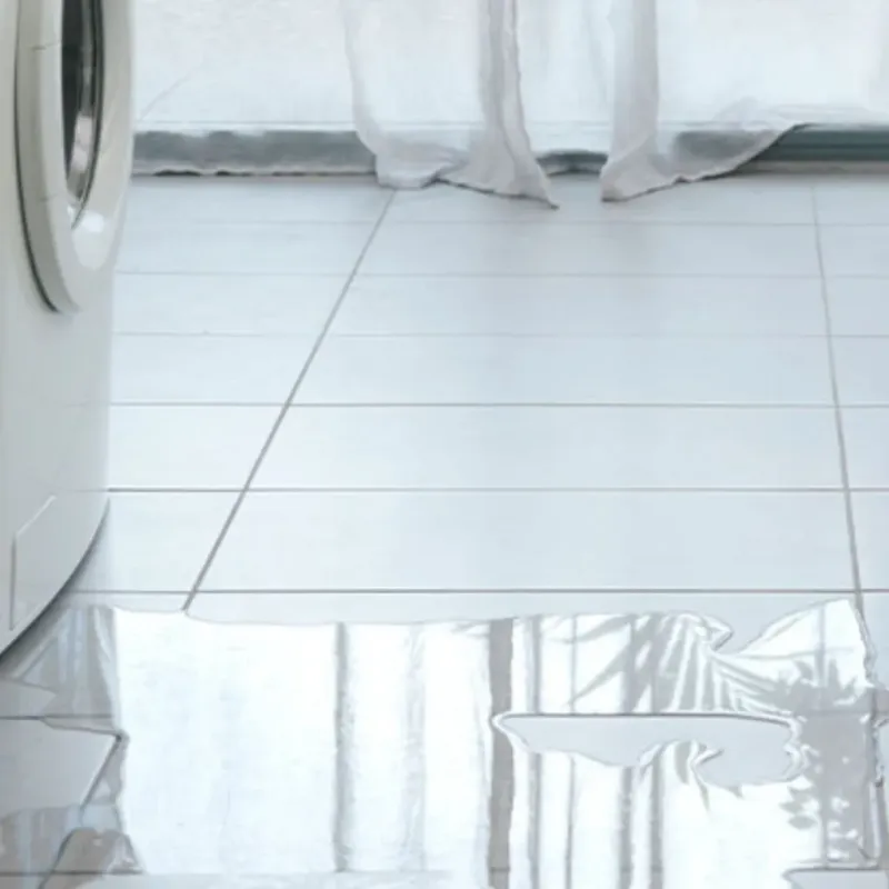 Appliance Leak Cleanup in Seabrook, TX