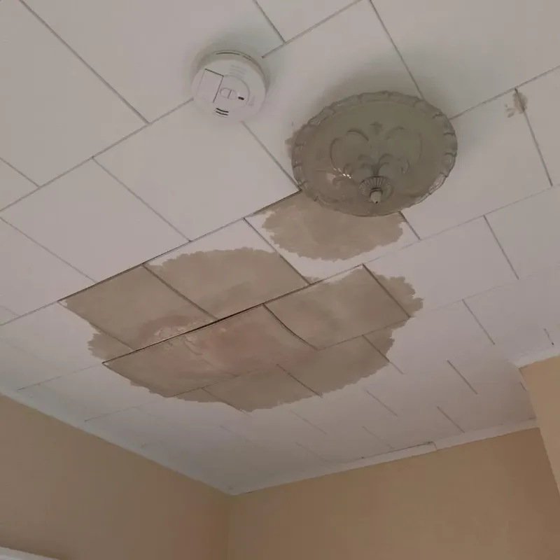 Ceiling Water Damage Repair in Seabrook, TX