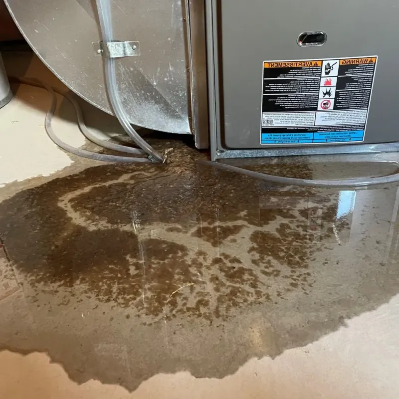 Pipe Burst and Leak Restoration in Seabrook, TX